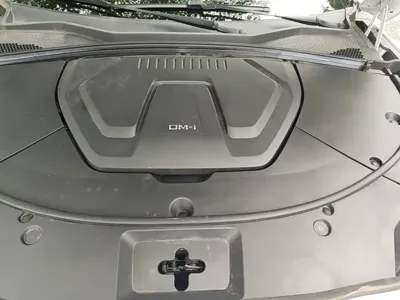 BYD PLUS New Energy