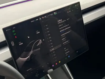 Tesla Model Y L