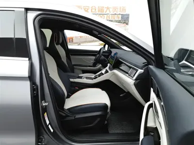 BYD PLUS New Energy