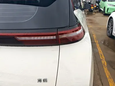 BYD Seagull