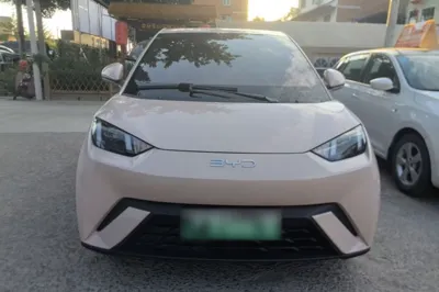 BYD Seagull