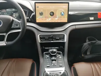 BYD PLUS