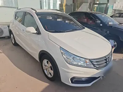Baojun 310