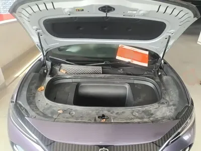 BYD L EV