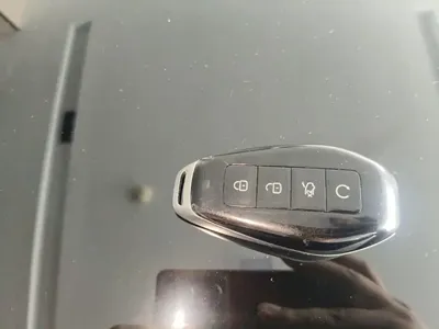 Denza Denza Z9