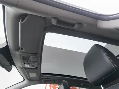 Citroen 雪铁龙C4 Aircross(进口)