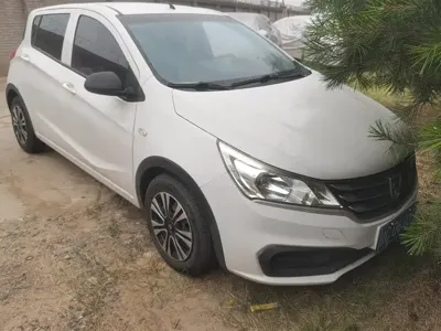 Baojun 310