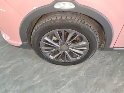 NETA Neta V
