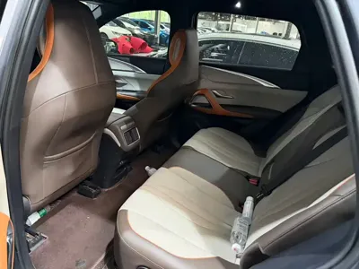 BYD Pro New Energy