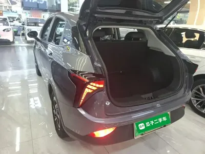 NETA Neta V
