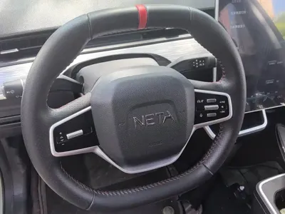 NETA Neta V