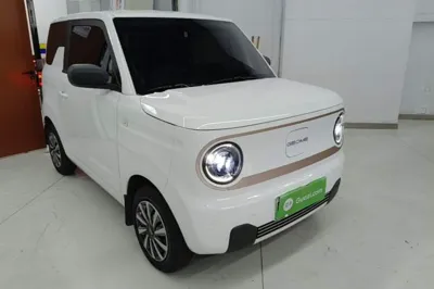 Geely Galaxy Panda