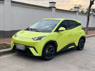 BYD Seagull