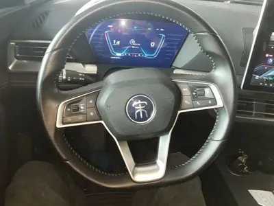 BYD Pro