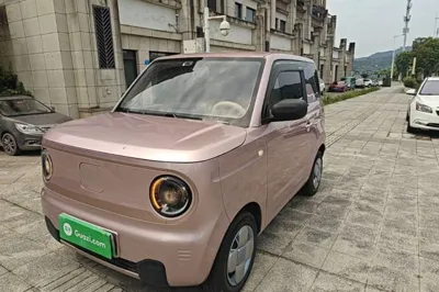 Geely Galaxy Panda