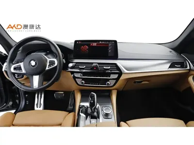 BMW 5 Series (Import)