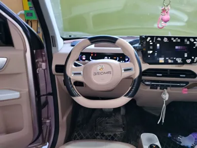 Geely Galaxy Panda