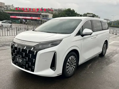 BYD M9
