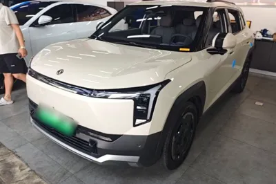 Dongfeng NAMMI 06