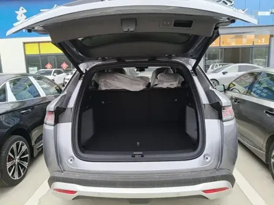 BYD L DM-i
