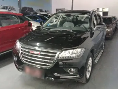 Haval H2