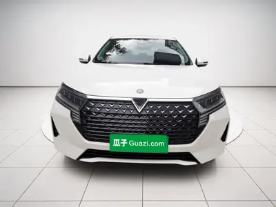 Venucia D60