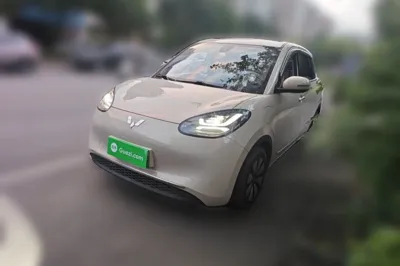 Wuling Bingo