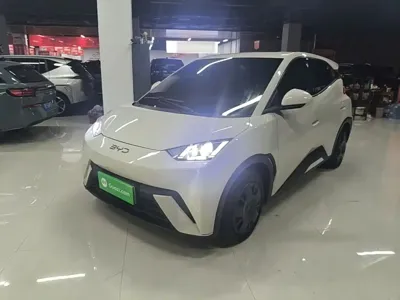 BYD Seagull