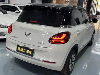 Wuling Bingo