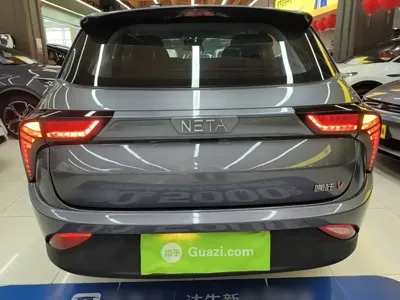 NETA Neta V