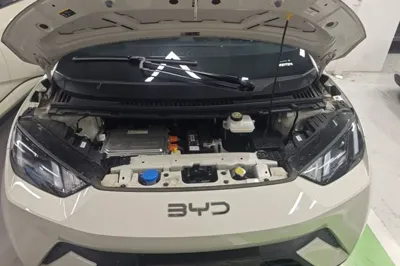 BYD Seagull