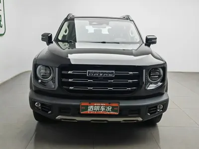 Haval Big Dog