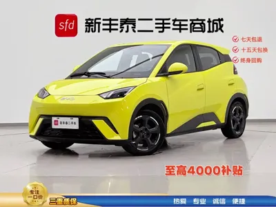 BYD Seagull