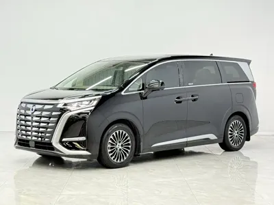 Denza Denza D9