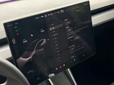 Tesla Model Y L