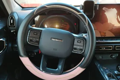 Haval H Dog
