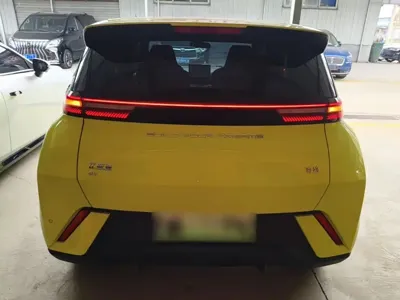 BYD Seagull