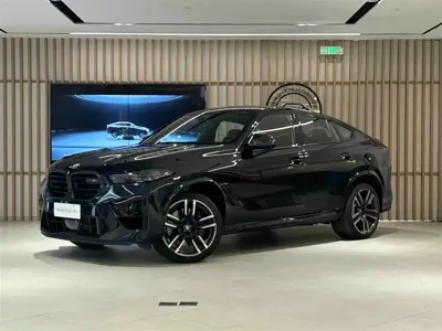 BMW X6 M