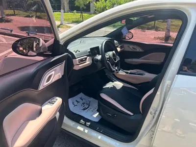 BYD Seagull
