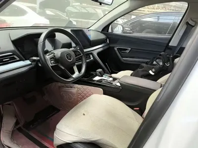 BYD Pro