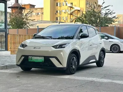 BYD Seagull