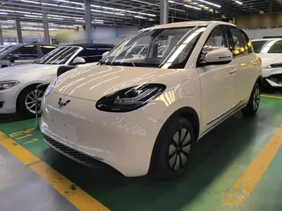 Wuling Bingo