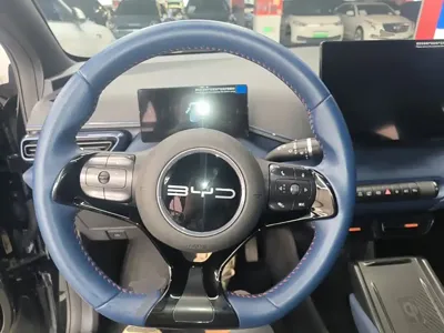 BYD Seagull