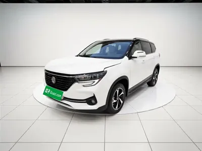 Fengxing Fengxing T5
