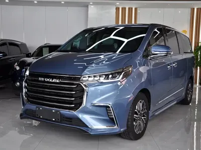 大通 G20