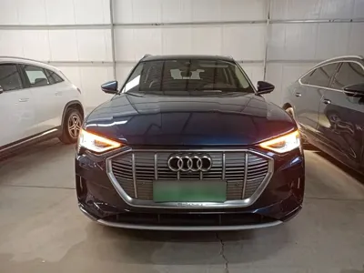 Audi e-tron (Import)