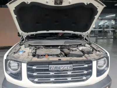 Haval Big Dog