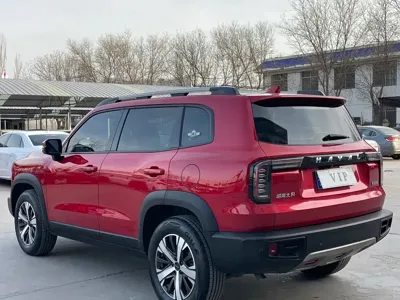 Haval Big Dog