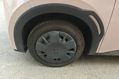 BYD Seagull