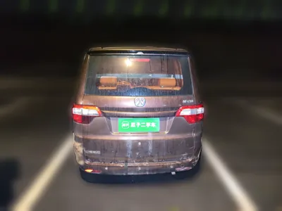 Weiwang M20